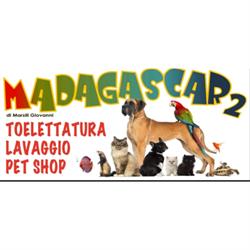 Madagascar 2