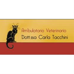 Ambulatorio Veterinario Dott.Sse Carla Tacchini e Julianna Boldizzoni