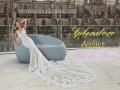 Nuova collezioni abiti da sposa e da cerimonia a Palermo