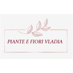 Piante e Fiori Vladia