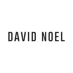 David Noel