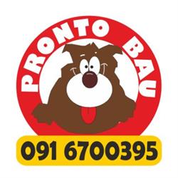 Pronto Bau