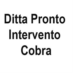 Ditta Pronto Intervento Cobra
