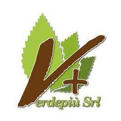 Verdepiù