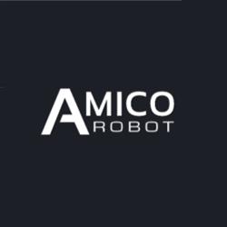 Amico Robot