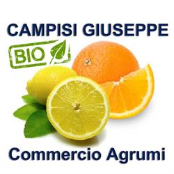 Campisi Giuseppe