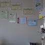 Gallery Professionale