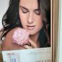Gallery Professionale