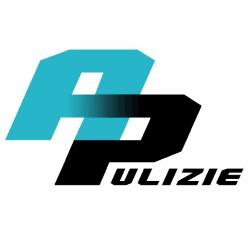 Ayrton Pulizie