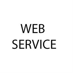 Web Service