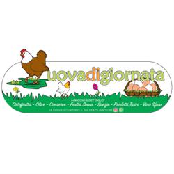 Uova di Giornata di Gaetano Dimora