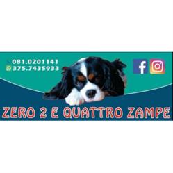 Zero 2 e Quattro Zampe