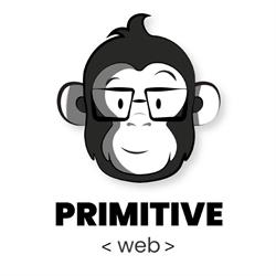 Primitive Web srl