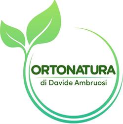 Ortonatura di Davide Ambruosi
