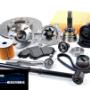 Gallery Professionale