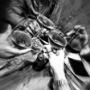 Gallery Professionale