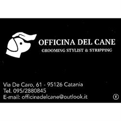 Toelettatura Officina del cane