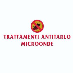 Trattamento Antitarlo Lecce e Provincia