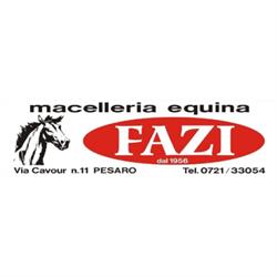 Fazi Stefano & C. Snc