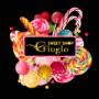 Gallery Professionale