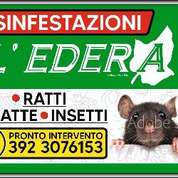 L'Edera Servizi