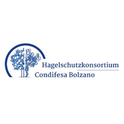 Consorzio Difesa Grandine
