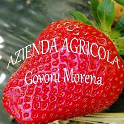 Azienda agricola Govoni Morena