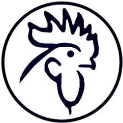 GALLI ASSICURAZIONI SRL