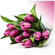La Primavera Fiori E Piante