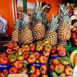 Fruttolandia Torino