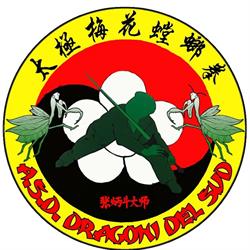 ASD Dragoni Del Sud Zhang Family M°Rino Limoli