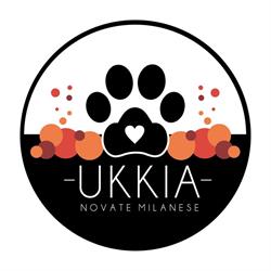 Ukkia Pet Shop Novate Milanese
