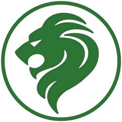 Lion Service 1986 srl