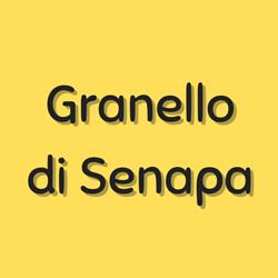 Granello di Senapa
