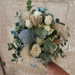 FIORI E PIANTE ORNAMENTALI