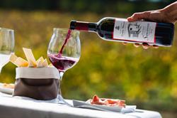 Fratta Minore Azienda VitiVinicola