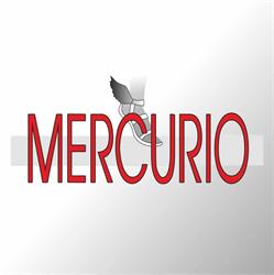 Mercurio Srl