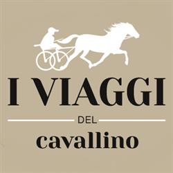 I VIAGGI DEL CAVALLINO