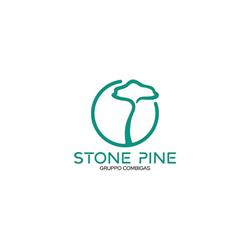 Stone Pine - Smart Energy Systems