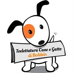 Toelettatura cane e gatto Boldrin