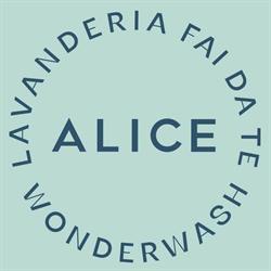 Alice Wonderwash