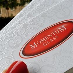 MomentuM Glass Murano Glass Artist