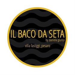 Il Baco Da Seta