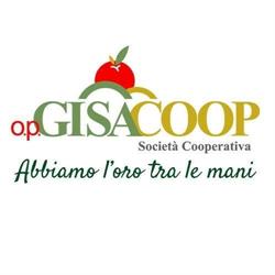 OP Gisacoop