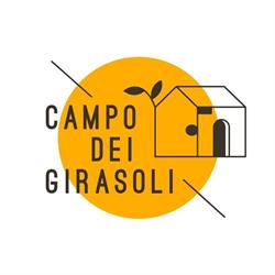 Campo dei girasoli