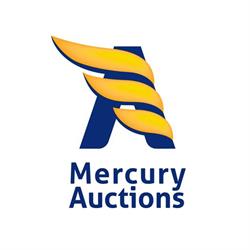 MERCURY AUCTIONS srl