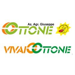 Vivaio Ottone    Azienda Agricola  Giuseppe Ottone