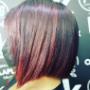 Gallery Professionale