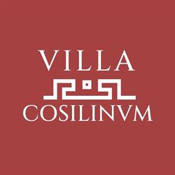 Hotel Villa Cosilinu