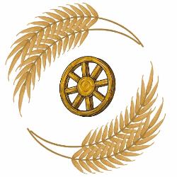 Molini Omnia Service
